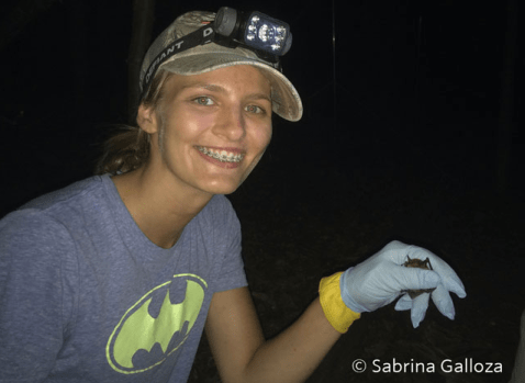 williampaterson_batspecies