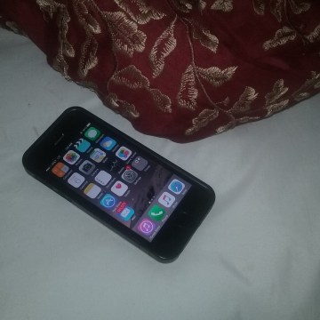 setonhall_textingstudy